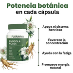 🧠 Rhodiola Premium – Más Enfoque, Energía Mental y Equilibrio Cada Día